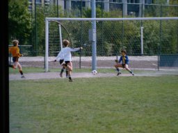 0DIA 1984 RAVA PUPS 1